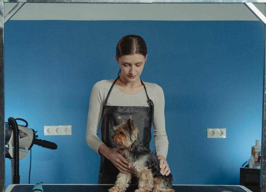 Pet Grooming